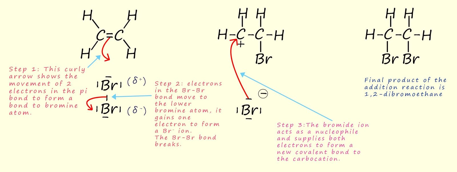 detailed notes on the mechanism of electrophilic addition using the addition of bromine to ethene as an example.